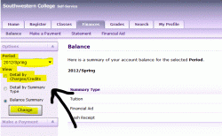Balance View