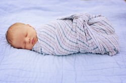wolf_megan_babyleo
