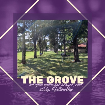 The Grove