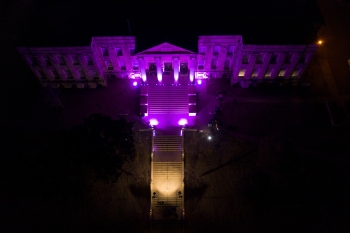 Christy lit purple at night