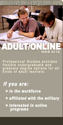 Professional Studies Web Site